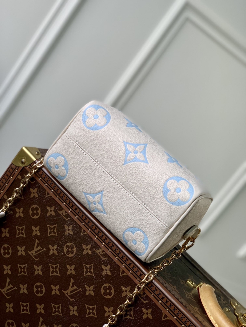 LV Travel Bags
